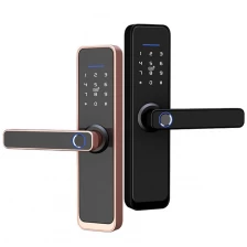 China Front Hotel Mobile Control Keyless Biometric Electronic Ttlock Tuya Wifi Digital Fingerprint Smart Door Lock manufacturer