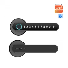 China Bluetooth Digital Keyless Entry Smart Home Lock Intelligentfingerprint Electric Door Handle Lock manufacturer