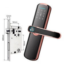 China Tuya wooden door Smart Lock security Home Electric Deadbolt Digital Card App Biometric Fingerprint Door Lock manufacturer