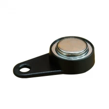 China Touch Memory Read Only TM1990A-F5 Ibutton Key with Magnetic Ring manufacturer