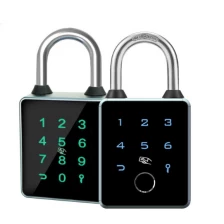 China Keypad Combination Ip65 Waterproof Tuya Tt App Card Digital Smart Fingerprint Padlock with Key manufacturer