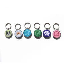 porcelana Etiquetas de llave epoxídica de RFID NFC 213 Pets Personalizar Control de acceso Keyfob Keychain Epoxy Smart NFC Tarjetas fabricante