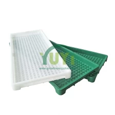 China Greenhouse Nursery Paddy Rice Seedling Flat Tray 250x600mm 300x600mm Paddy Rice Planting Trays manufacturer