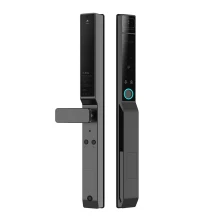 China Waterproof Face ID Fingerprint Password Glass Door Lock With Tuya App manufacturer