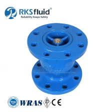 China Manufacturer Cast Ductile Iron Flanged End Silent Check Valve DN50 for Water Treatment manufacturer