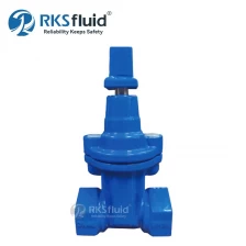 China Factory Best Price BS5163 Threaded Ductile Iron Manual Resilient Seated 50mm Gate Valve PN10 for Water manufacturer