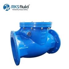 China Factory-Direct Price BS5153 DN300 Industrial Cast Iron Swing Check Valve PN16 8 Inch Fast Delivery manufacturer