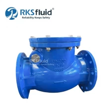 China RKSfluid Valve Manufacturer BS5153 Wafer Cast Iron Flange Swing Check Valve DN100 DN200 Customized manufacturer