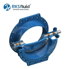 Chine rksfluid Fabricant double vanne de papillon de brillance excentrique PN40 pour le traitement de l'eau fabricant