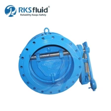 Chine OEM FLANGED TYPET TYPE NON RETOUR SALVE POUR L'alimentation en eau et la protection contre le flux de pompe fabricant