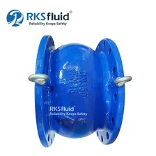 China RKSfluid DI-Flansch-Düsenrückschlagventil DN350 PN16 für Wasser Hersteller