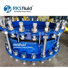 中国 RKSfluid 定制法兰拆卸接头，DN40 - DN2000 制造商
