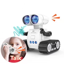 China Intercom, Programmable, Remote-Controlled Robot with Variable Eye Lights and Facial Expressions manufacturer