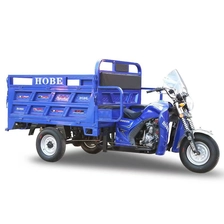 China LY-HOBE Motorized tricycle manufacturer