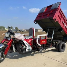 China LY-Kane Electric five-wheeler manufacturer