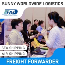 China SWWLS DDP Udara Penghantaran Kadar Penerbangan Langsung Penghantaran Air Express dari China ke Slovakia Air Freight Forwarder Freight Forwarder