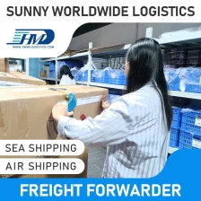 China Swwls Door to Door Express Air Freight Forwarder and Sea Transport Service to Slovakia 