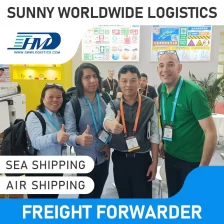 China Swwls Fast Logistic Service Freight Forwarder Sea Air Shipping Agent From China to France 