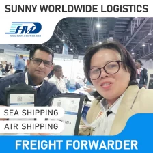 China Swwls CIF Service Air Freight Forwarder From China Shipping From China To Sweden shipping rates 