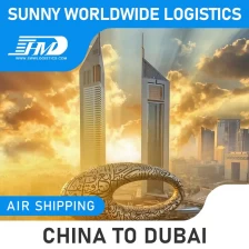 China Swwls Cheap Sea shipping rates from China Shenzhen Guangzhou Shanghai to UAE Door to door delivery 