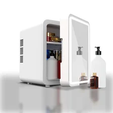 China 12V 6L Beauty Cosmetics Car Refrigerator manufacturer