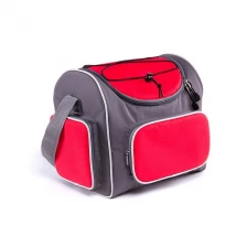 China Thermoelectric Travel Cooler Bag manufacturer