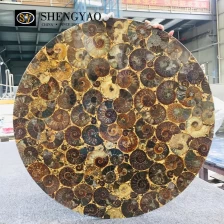 China Tampo de mesa de fóssil de concha personalizado, tampo de mesa redondo de pedra semipreciosa fabricante