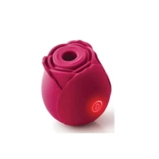 Cina Vibratore rosa KS01A produttore