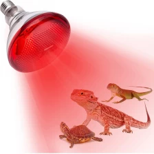 China High Quality Customized Heating Element Halogen 300w Heat Lamp And Infrared Bulb For Piglets manufacturer