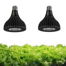 China Full Spectrum Quantum Sunlight Vegetables Led Mushroom PAR38 30W 36W Grow Light Bulb manufacturer