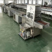 Cina Cina Impastatrice per cioccolato da spalmare e sciogliere / Tunnel di raffreddamento per rivestimento di cioccolato in vendita produttore