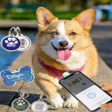 China Venda por atacado estrutura metálica personalizada nfc epóxi revestido cão tag QR code rastreamento fabricante
