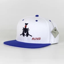 Cina cappellino piatto della bandiera americana della Cina, cappello di snapback normale produttore
