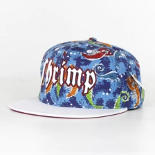 Chine Concevez votre propre casquette Snapback en ligne, Custom broderie Snapback Cap fabricant