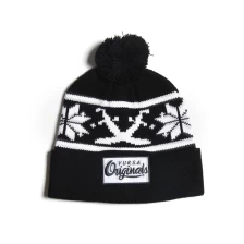 China jacquard logo black knitted winter caps beanies hats manufacturer