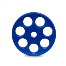 China China 7 holes Weight Plates Supplier manufacturer