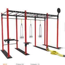 China Mulit Function Training Free Standing Cross Fitness Rigs manufacturer