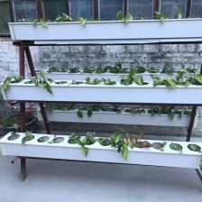 porcelana ZXC Gutter growing system for greenhouse production hydroponic substrate trough for strawberry fabricante
