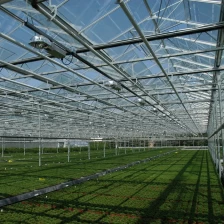 China 4mm clear tempered glass for greenhouse, 4mm transparent toughened glass greenhouse,glass panel for greenhouse manufacturer