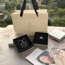 Chine Personnalisez la boîte d'emballage de bijoux Boîte à bijoux en plastique Boîte de bague pendentielle Boîte d'emballage cadeau fabricant