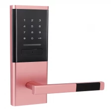 China Biometric Fingerprint Digital Password rfid card Door Lock 4 In 1 Keyless Entry manufacturer
