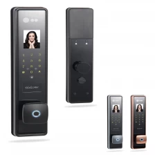 China New Biometric Face Recognition RFID Door Lock manufacturer