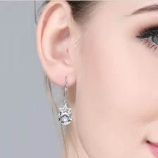 China High Quality Start Shape 925 Sterling Silver Stud Earring Supplier in China manufacturer