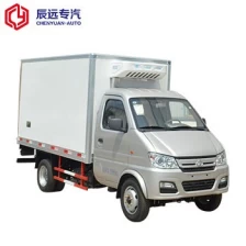 中国 迷你肉钩冰箱冰柜货车面包车卡车出售 制造商