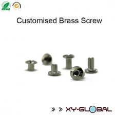 China Metal Screws Nuts Machine Steel Parts Pressing Machined Stainless Steel Part manufacturer