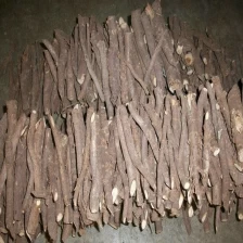 الصين خصم كبير الهجين الصيني المعطر الجذر شان تونغ 4 لزراعة الأخشاب الصانع