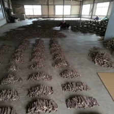 Çin Fresh new 2018 paulownia shantong hybrid 9501 root cutting cold resist for wood production üretici firma