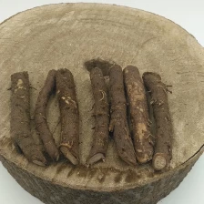 China High grade paulownia roots cut  for sale manufacturer
