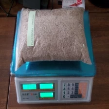 China Safe DHL fastest delivery paulownia hybrid 9501 seed manufacturer