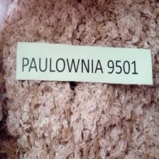 China Strong Adaptability different types paulownia seed with certificate manufacturer